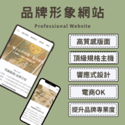 professional website