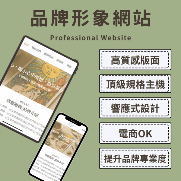 professional website